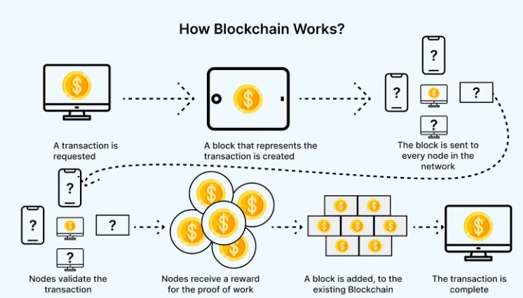 The Consciousness of Bitcoin