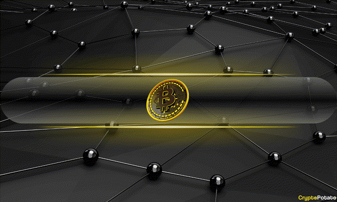 New study shows excess leverage flushed in Q4, as realized price metrics and profitability data point to a healthier Bitcoin structure.